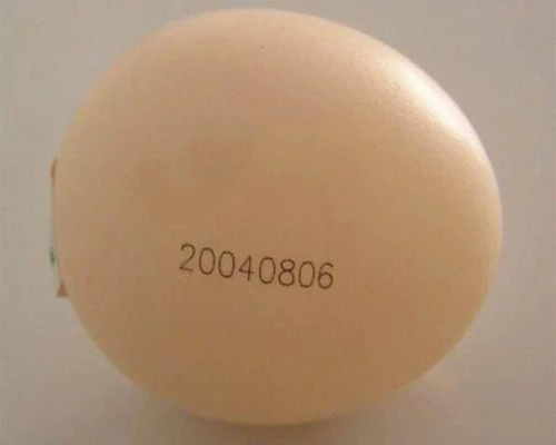 8-